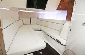 Boston Whaler 350 Realm - cabin