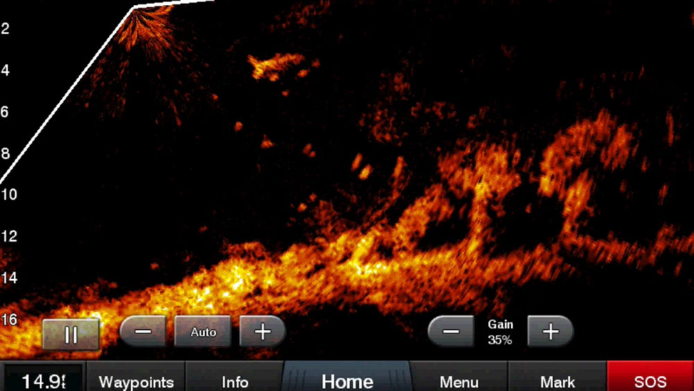 Garmin Panoptix LiveScope, The First Live Scanning Sonar for Fishing