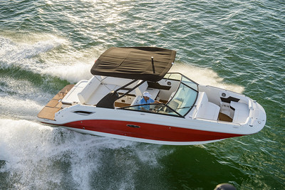 Sea Ray SDX 250 sky view