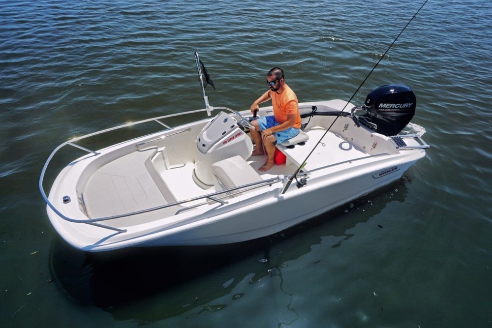 Boston Whaler 130 super Sport - sky view